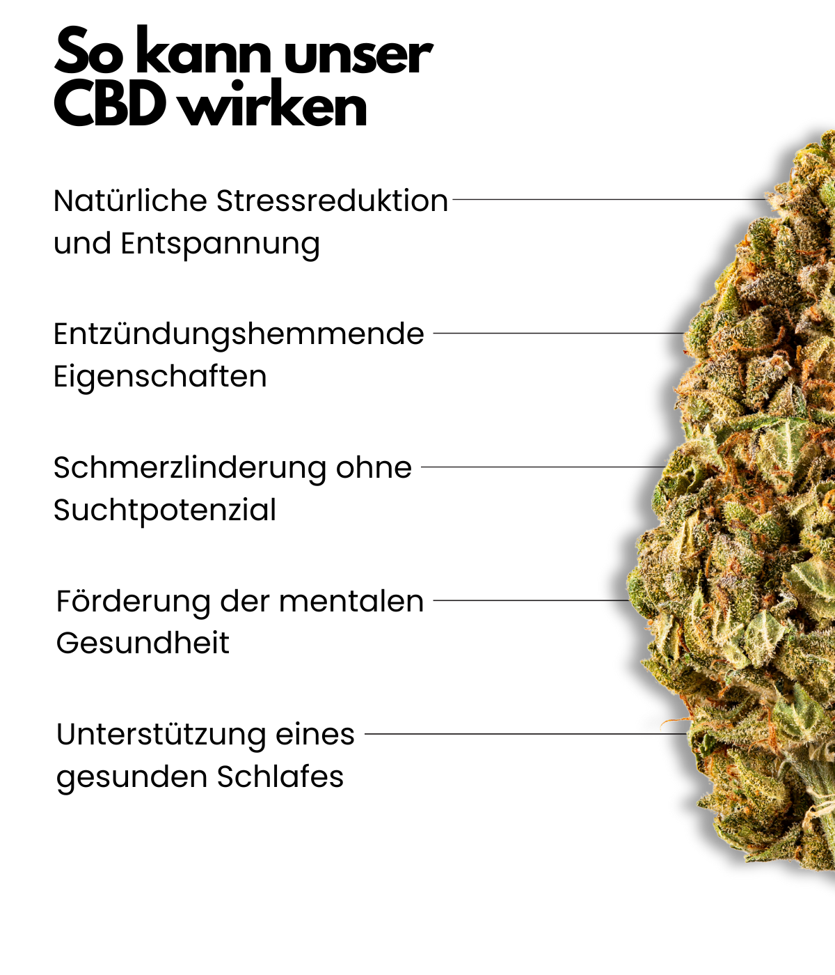 CBD statt THC Die saubere Alternative für Entspannung ohne Rausch!