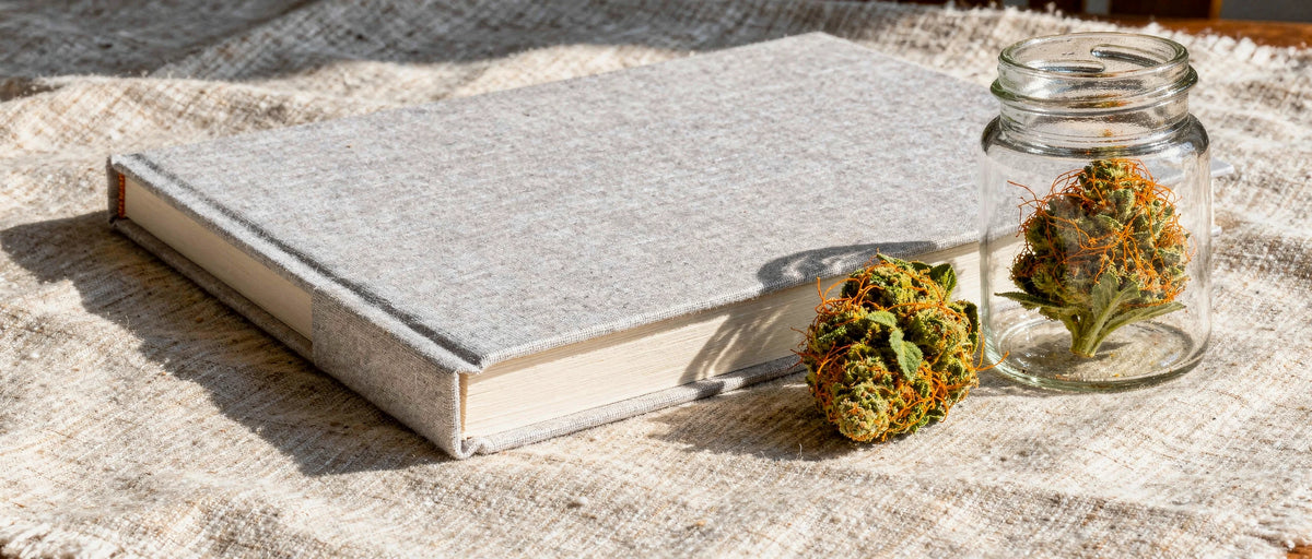 Geschlossenes Buch und Glas mit Hanfblüte auf Leinen, Symbolbild zur HHC Legalität