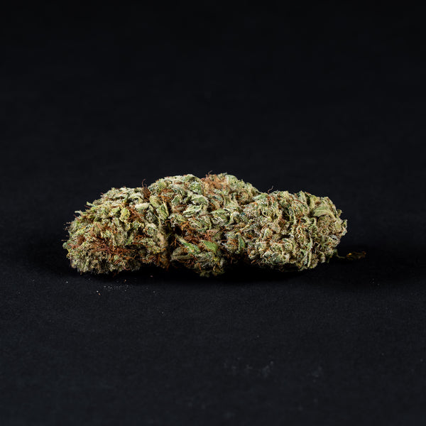 Cali Purple