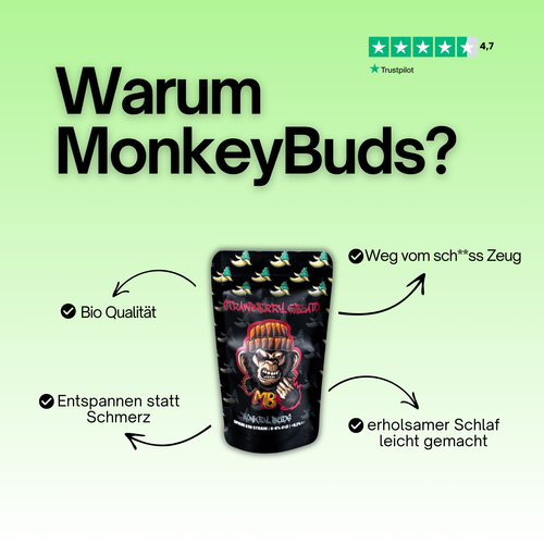 Infografik Warum MonkeyBuds mit einem MonkeyBuds CBD Blüten Beutel