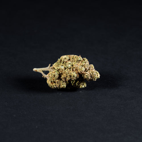 Super Lemon Haze