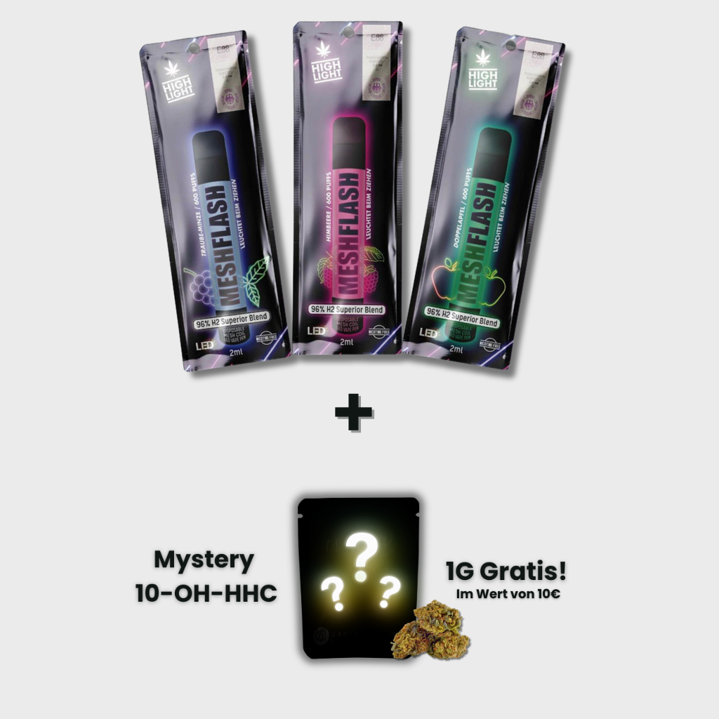 Mesh Flash Vapes Probierpaket