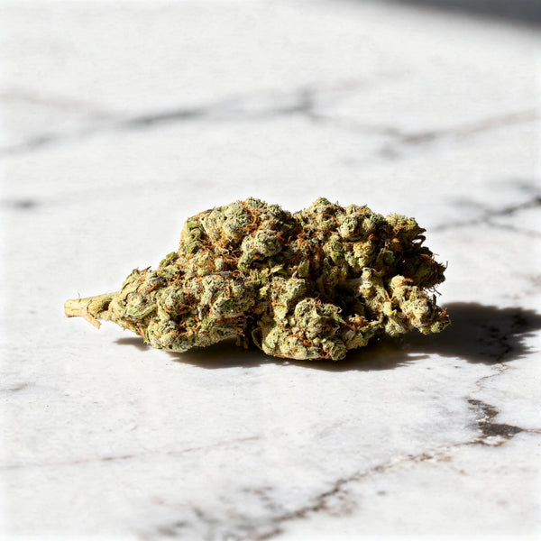 Strawberry Gelato CBD Blüten Nahaufnahme auf weißem Marmor im Tageslicht