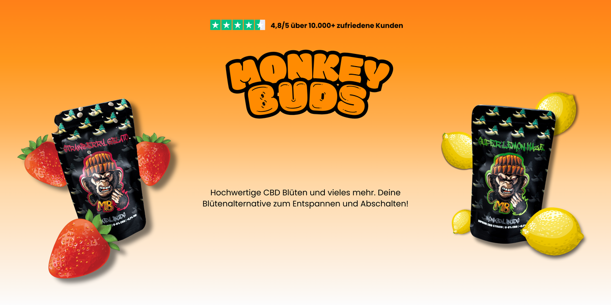 CBD Tee kaufen: Sorten und Zubereitung