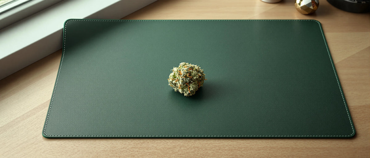 Hanfblüte auf grüner Leder-Schreibunterlage auf hellem Eichenholz im Tageslicht, Symbolbild HHC-P Legalität