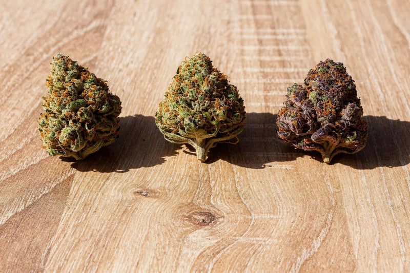 CBD Blüten ansehen