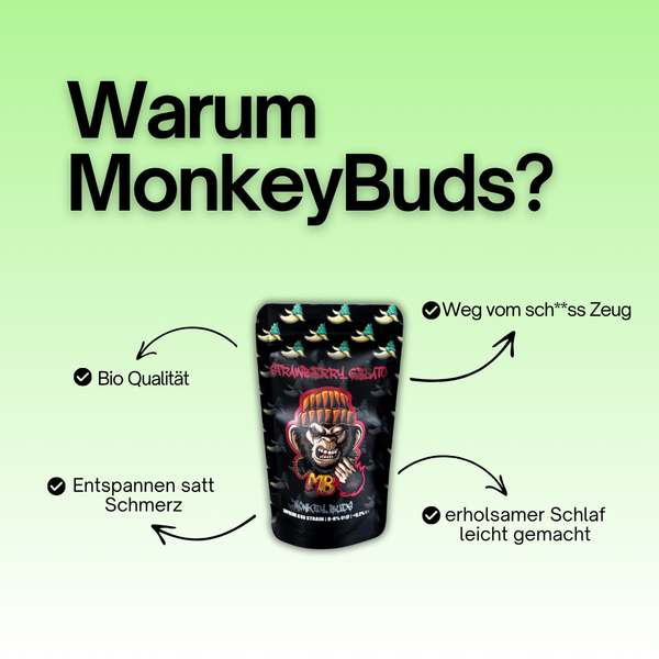 Infografik Warum MonkeyBuds zum CBD Blüten Probierpaket