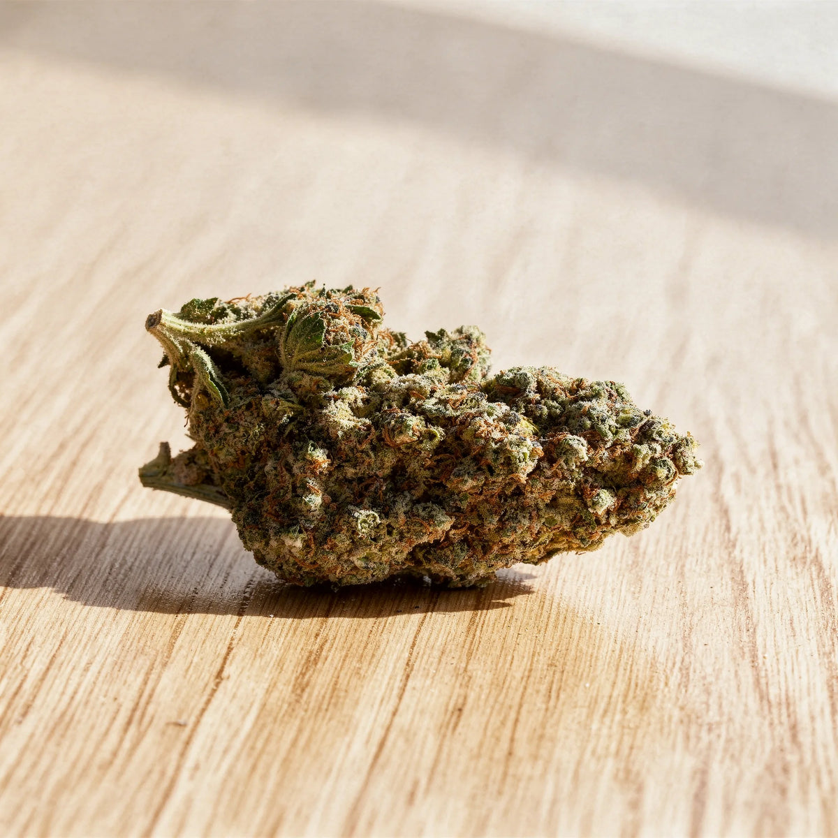 Banana Smash CBD Blüten Nahaufnahme auf hellem Eichenholz im Tageslicht