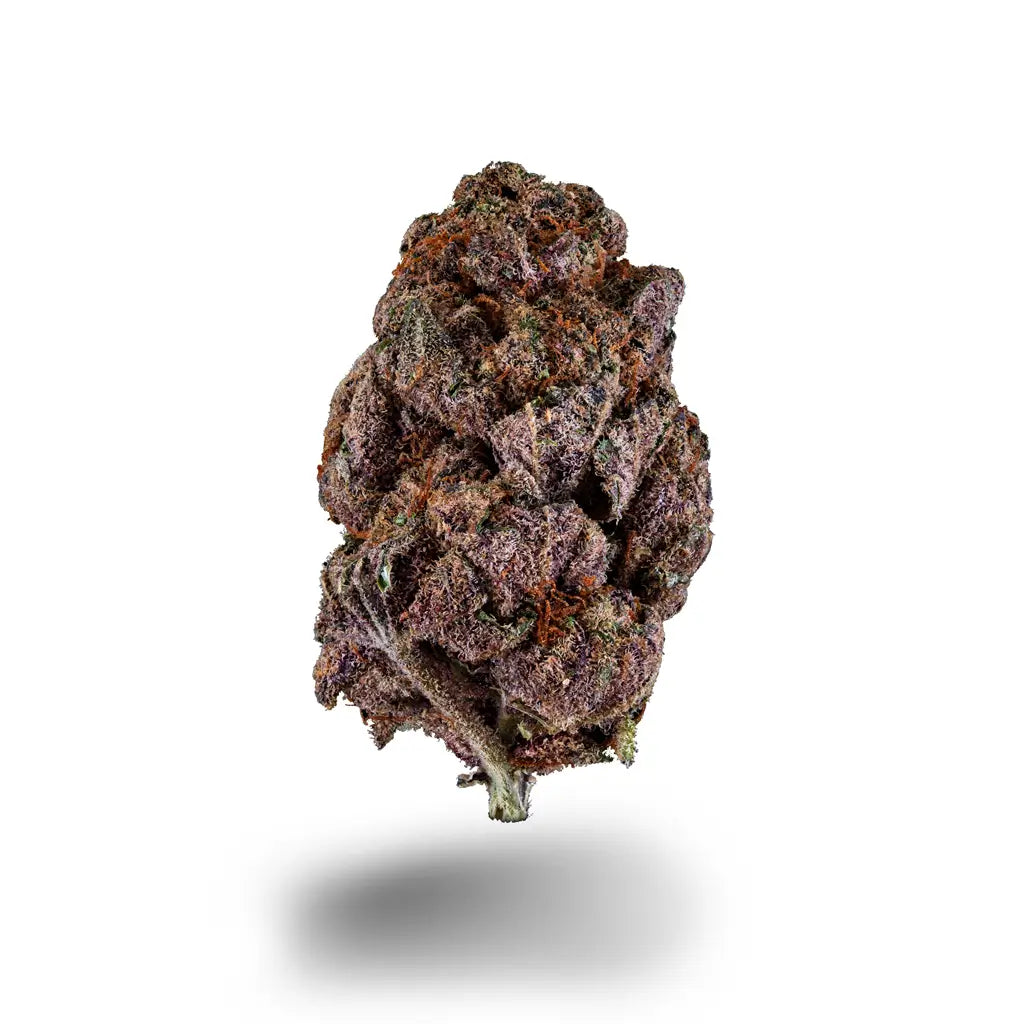Dunkelviolette CBD-Blüte mit hellen Trichomen, freigestellt