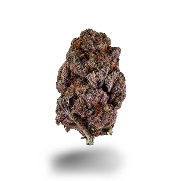 Mystery Terp Ninjas Superior Dragon Buds Probierpaket
