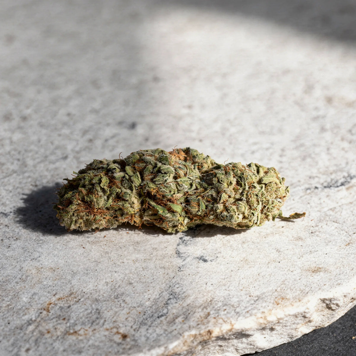 Cali Purple CBD Blüten Nahaufnahme auf hellem Naturstein im Tageslicht