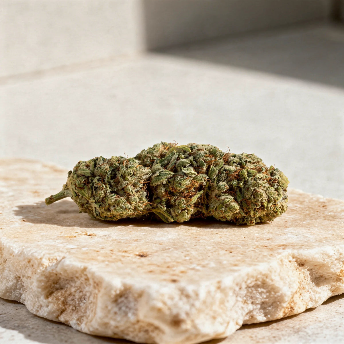 Orange CBD Blüten Nahaufnahme auf hellem Kalkstein im Tageslicht