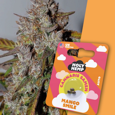 Auto-Flowering Mango Smile Seeds