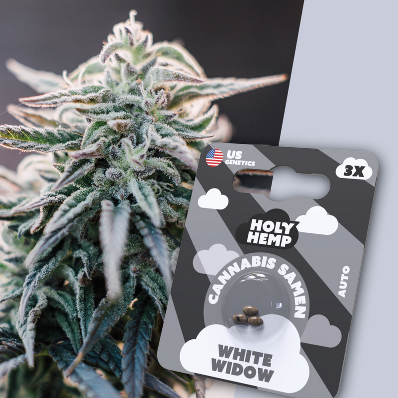 Auto-Flowering White Widow Seeds