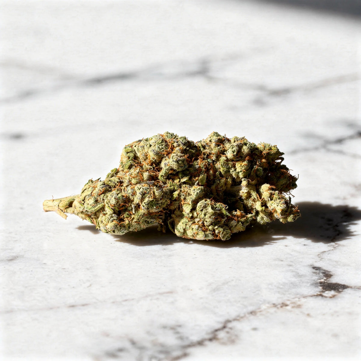 Strawberry Gelato CBD Blüten Nahaufnahme auf weißem Marmor im Tageslicht